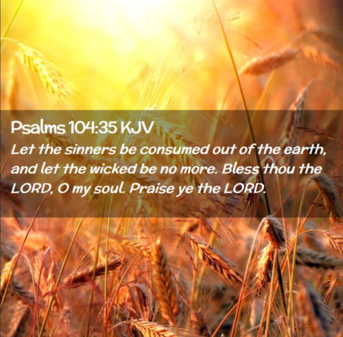 Screenshot_20260224-134323-267