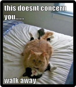 6f6f3294aaf4f70b6170ca13b1a23adb