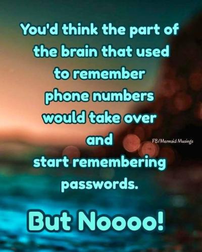 IMG_20260209_184158_328