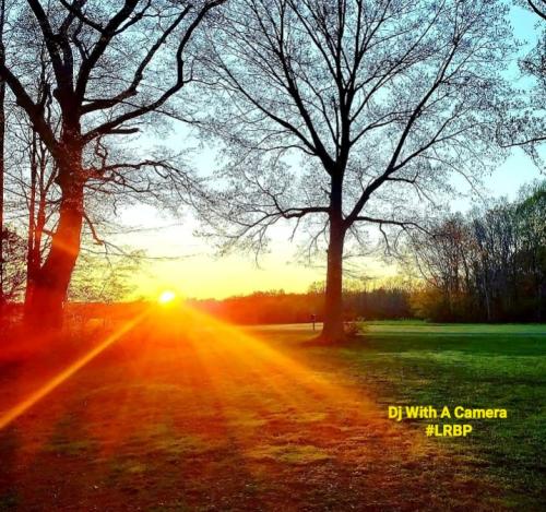 Screenshot_20260228_185213_Gallery