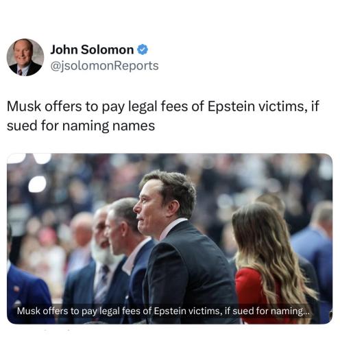 Epstein Victims Musk 1