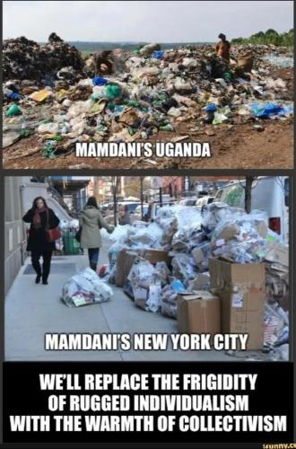 17720178835156390763362400376281_1185327316631058