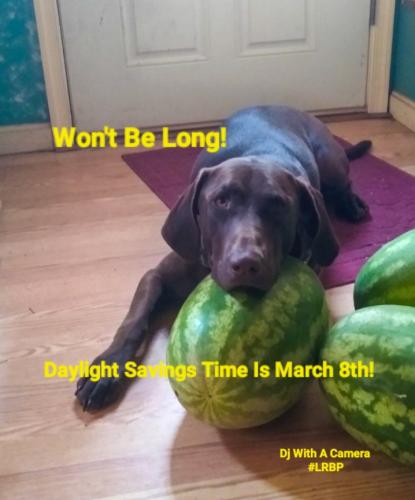 Screenshot_20260228_081722_Gallery (1)