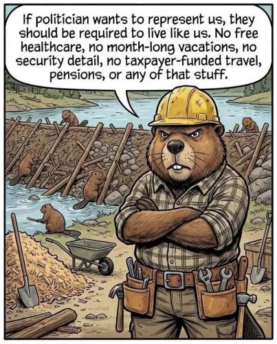 177080546861311868002773079940_424268882206120