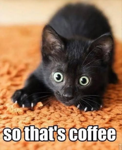 image_C7650792-AB93-4EBB-8B84-C9978E147062