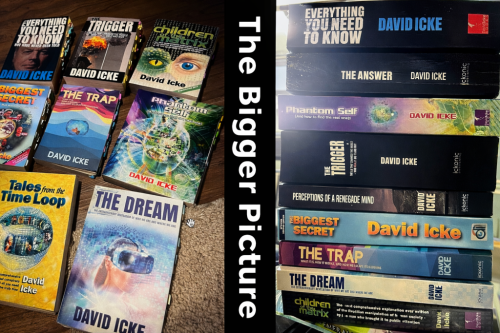 Davids-Books-1024x683