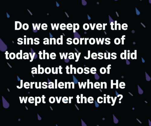 c994a55c-951b-4f28-921e-dac92f3aefe8