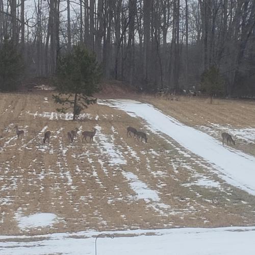 15:27:51 GMT-0500 (EST)