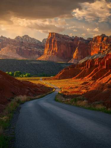 RDT_20260209_164206481800629993553300