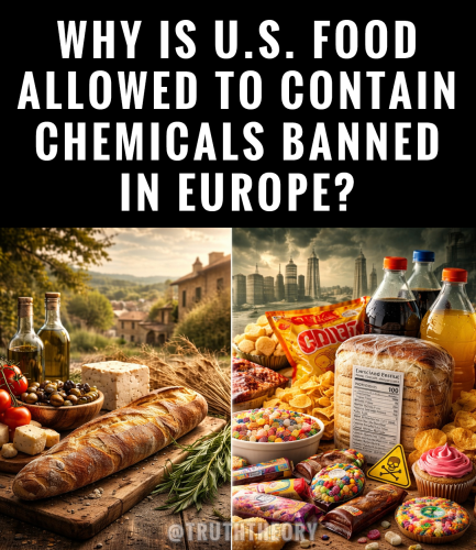 image_68A0F6AD-D0E4-45D7-A99F-B9A7C3EB2DDC