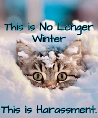 1eabdf2a9b57f08636a023a98d307046