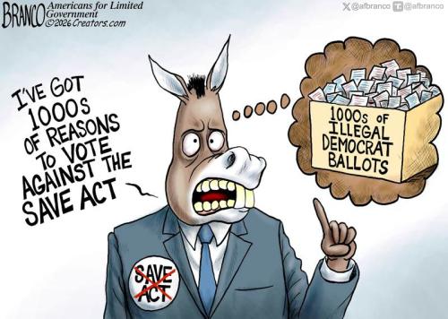 BRANCO SAVE ACT 1000