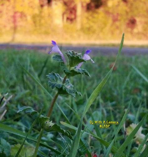 Screenshot_20260217_080026_Gallery