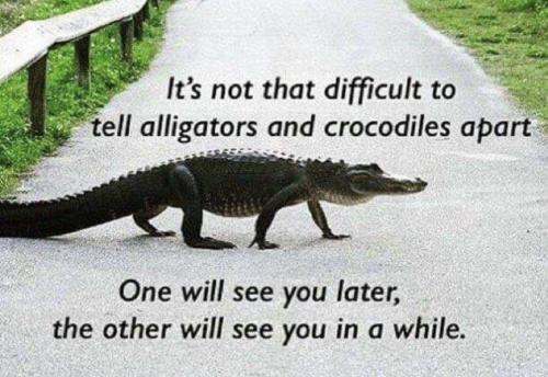 image_8278D276-B2E8-485D-AAD9-8CD2A6515E4B