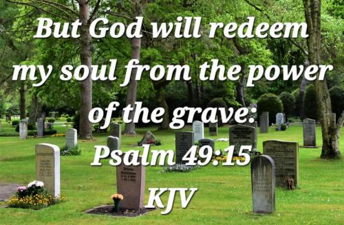 95529096-8a41-4e15-97e0-ef02aab0c685