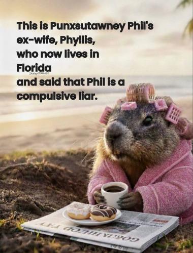 IMG_20260202_140218_038