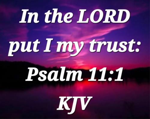 e38cda7a-2dc3-41d8-9e16-bc682c31edc7