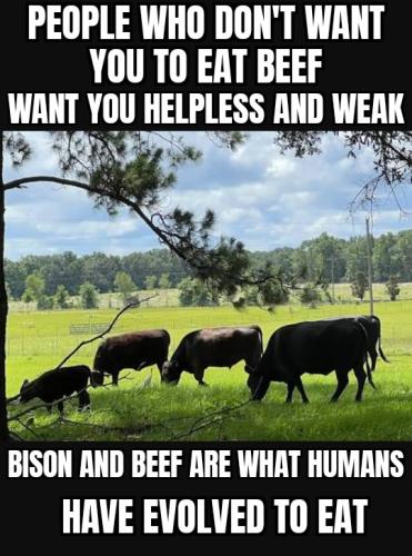 ZomboMeme 10022026092137