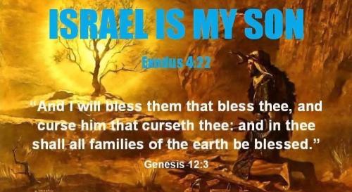 6cb4ab10-6a61-49d0-903a-c27240e1acd4