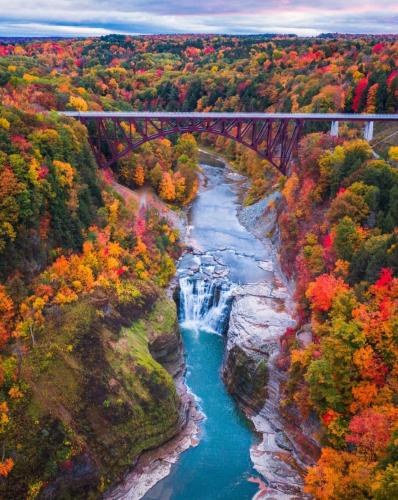 RDT_20260224_1413078056676185889333235