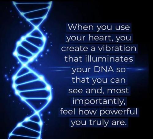 ,       ,        423193798_7468111