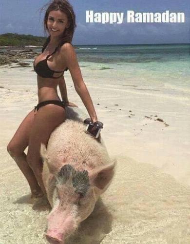 0f711903-7e0a-4b1d-a06c-c1069ed0726b