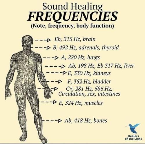 ,      ,             BdX7M1JO