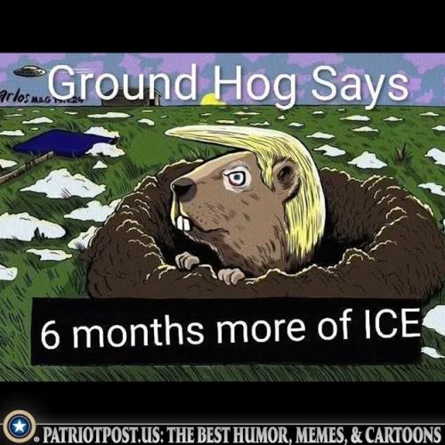 01KGG4DNJZQZ4108X78PY7BMCW