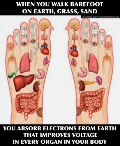 ,      545159_51961123140246