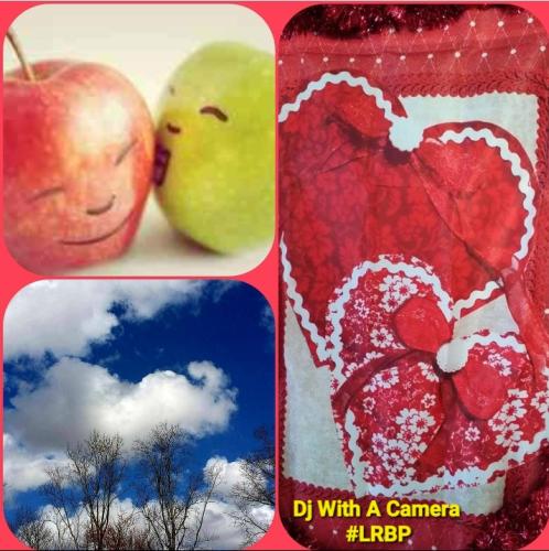 Screenshot_20260214_082512_Gallery