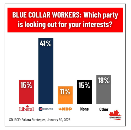 blu party workers