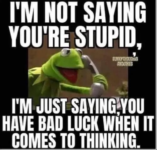 17709817013745911572694767620444_536985892192757