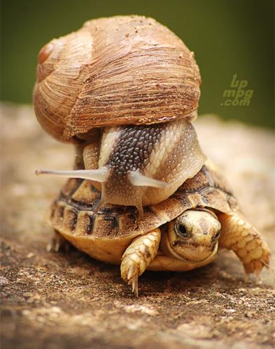 main-qimg-14dfaa103e2f49fabcb9e274b45878b9