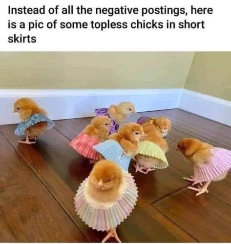 Screenshot_20260223_083809_Gallery