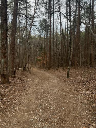 F93821C7-13F2-4AE7-884C-9DFD4F38EE5C