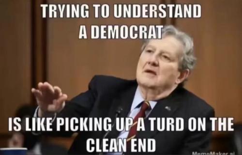 trying-to-understand-democrat