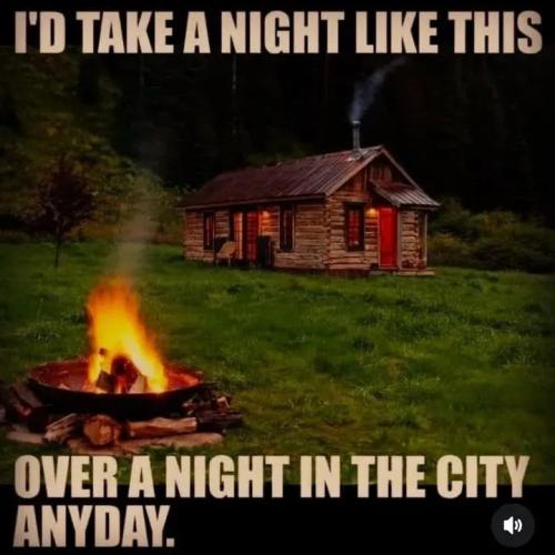 17676130437961565627551738556062_9341859869507