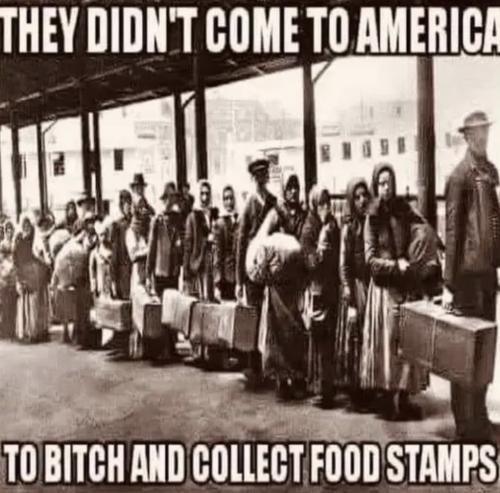 b32e8689-5f5e-4e41-be2c-4d46b505e361