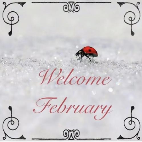 8f64a7e38def74cccce0027f79169ffc