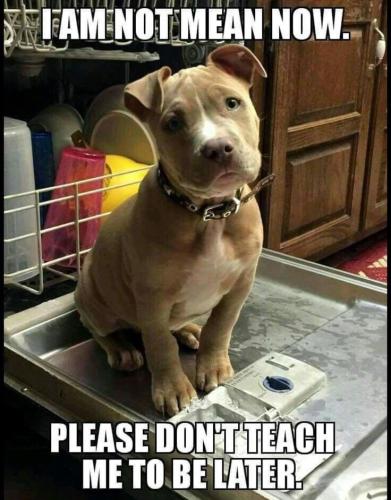 d317b7198d838ab7e1a2b5e8542b2743