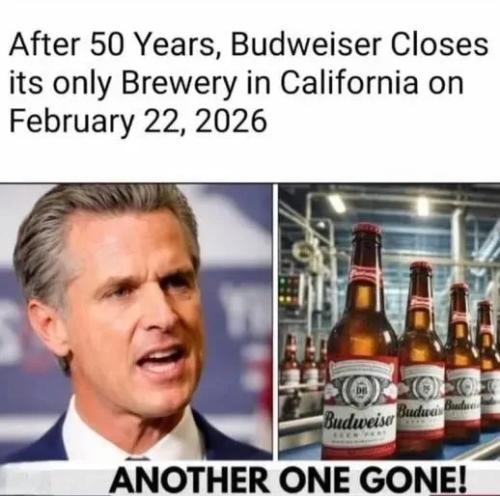 17712406583915823627487796855395_716798867703330