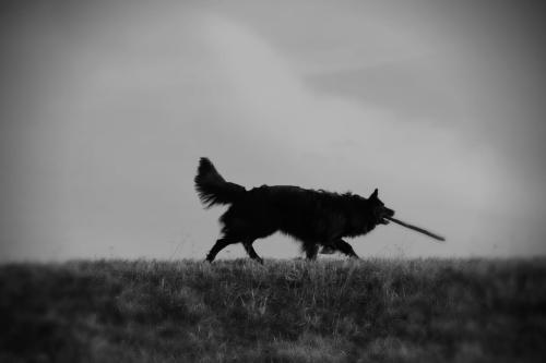 photostudio_1771096903135