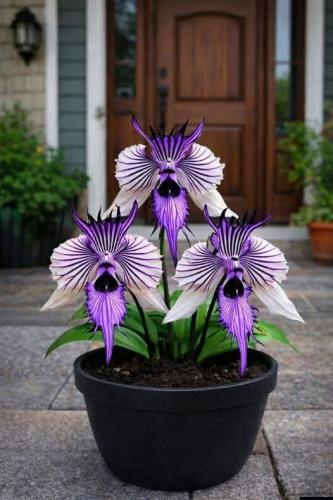 638652988_4338613133052749_1677117207675176499_n