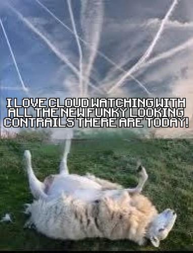 0240fd3d-3fb4-4366-bacd-b5eaffe59286