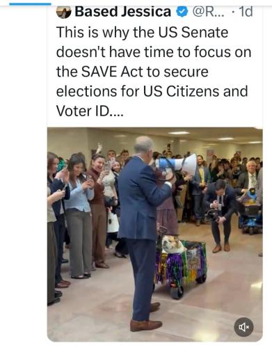 1e0e6b88-6298-442d-9015-5a085c199baf