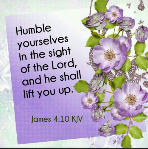 Screenshot_20260216-185110-233