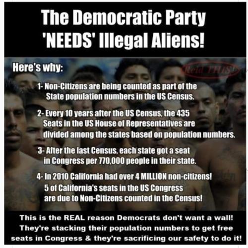 democrats need illegals