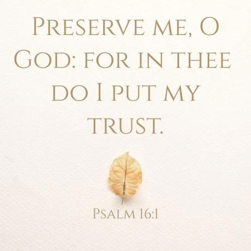 IMG_20260313_165415_387