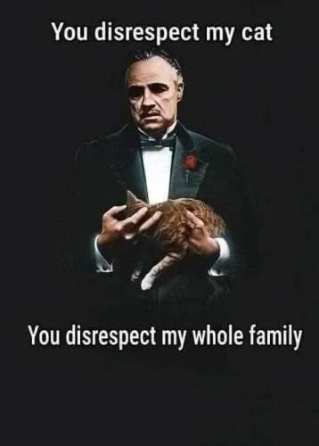 TESTHUB_photos_users_KPBY8Tc46ldqLjWXf6bqxqOW3AR2_-OoTCkZ4z0UWC03MSu-0_img_rsz__1100x1100