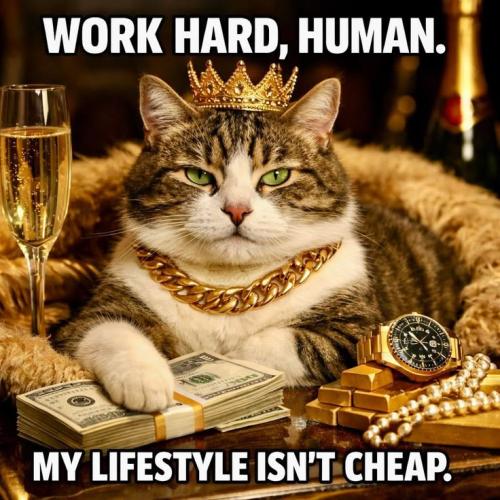 6533bcaddb3a94d2e841a55bdd434b72